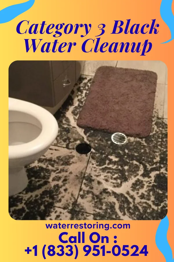 Category 3 Black Water Cleanup in Carrollton, OH
