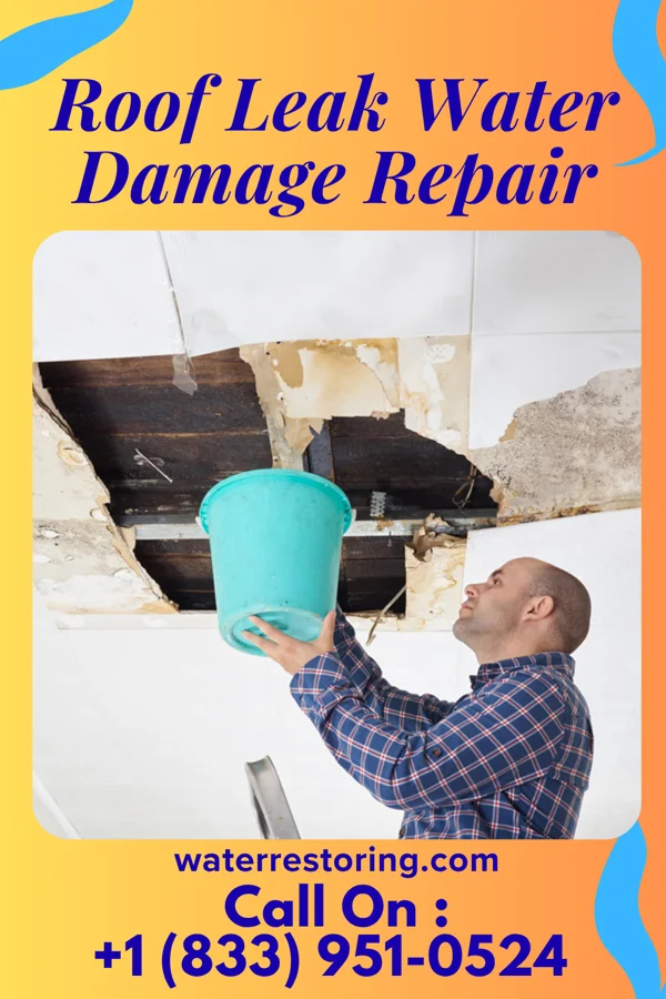 Roof Leak Water Damage Repair in Carrollton, OH