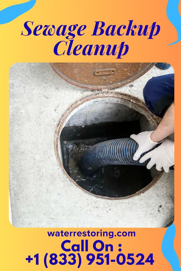Sewage Backup Cleanup in Carrollton, OH