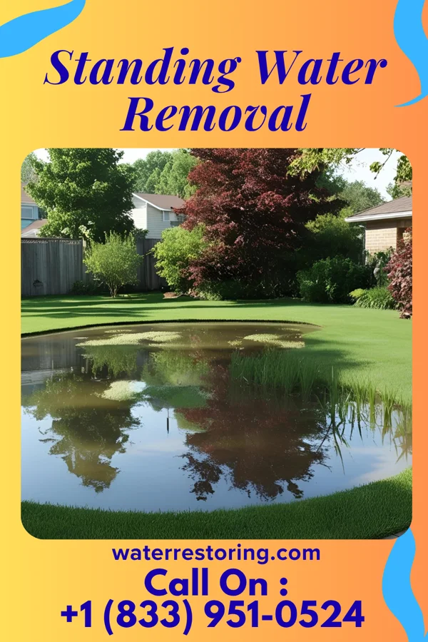Standing Water Removal in Carrollton, OH